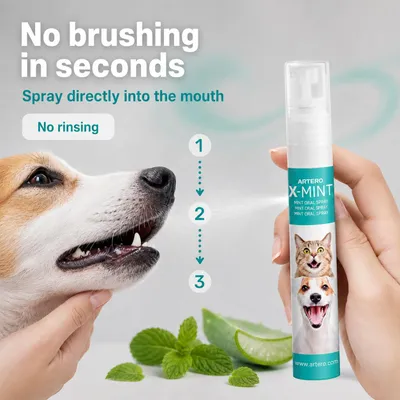 Artero spray buccal contre la mauvaise haleine X-Mint Artero spray buccal contre la mauvaise haleine X-Mint