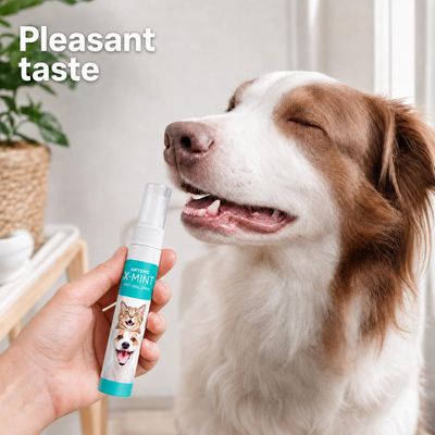 Artero spray buccal contre la mauvaise haleine X-Mint