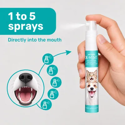 Artero spray buccal contre la mauvaise haleine X-Mint Artero spray buccal contre la mauvaise haleine X-Mint