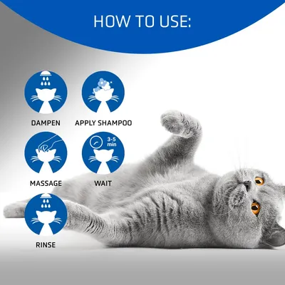Artero Shampooing pour chats 4Cats