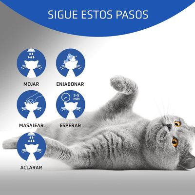 Artero Katzenshampoo 4Cats