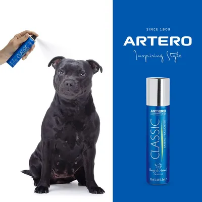 Artero Parfum Classic pour chiens et chats Artero Parfum Classic pour chiens et chats