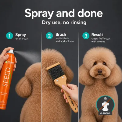 Artero Shampooing sec Speed Artero Shampooing sec Speed