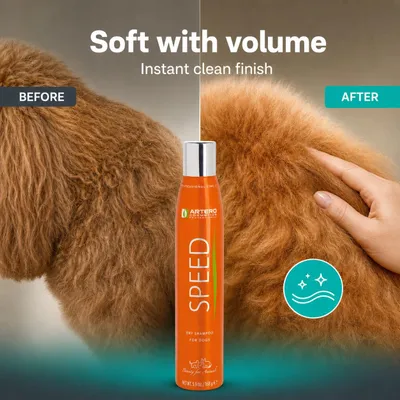Artero Shampooing sec Speed Artero Shampooing sec Speed