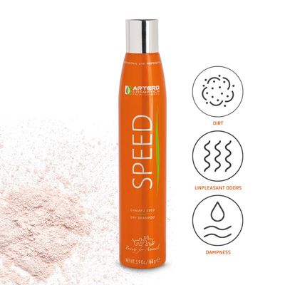 Artero Shampooing sec Speed