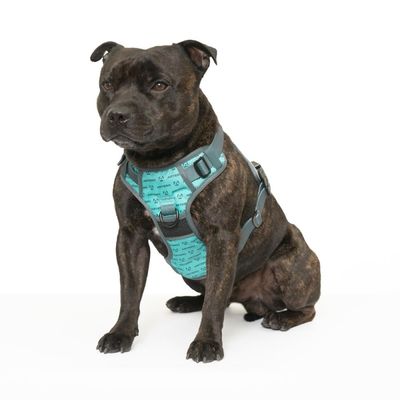Artero Harnais pour chiens avec logo