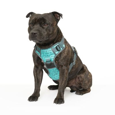 Artero Harnais pour chiens avec logo