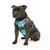 Artero Harnais pour chiens avec logo Artero Harnais pour chiens avec logo