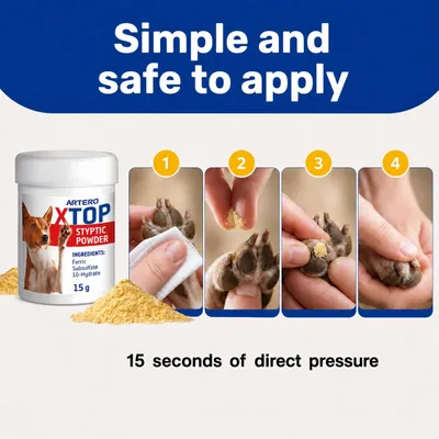 Artero Poudre hémostatique XTop Artero Poudre hémostatique XTop