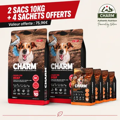 CHARM Croquettes Bœuf pour Chien - Sans Céréales CHARM Croquettes Bœuf pour Chien - Sans Céréales