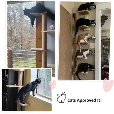 HausPets Árbol Gato Pared 205cm, Giratorio 360°, Altura Ajustable, Yute HausPets Árbol Gato Pared 205cm, Giratorio 360°, Altura Ajustable, Yute