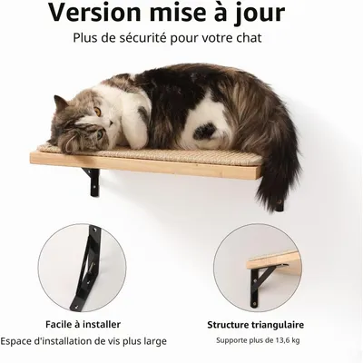 HausPets Estante Flotante Gato 39,7x25,4cm, Rascador Sisal, Hevea