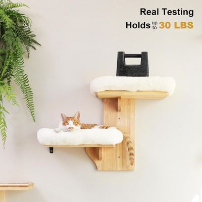 HausPets Estante Pared Gato 2 Plataformas, Percha Madera Hevea