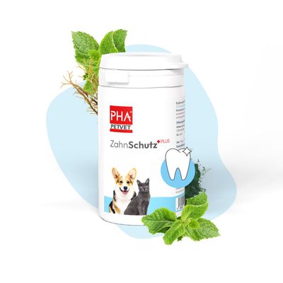Kauartikel.com PHA ZahnSchutz PLUS für Hunde u. Katzen