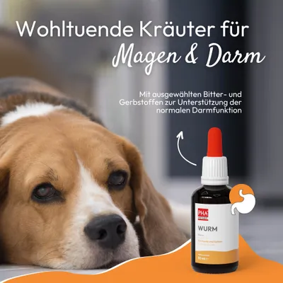 Kauartikel.com PHA WURM für Hunde u. Katzen 50 ml Kauartikel.com PHA WURM für Hunde u. Katzen 50 ml