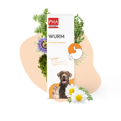 Kauartikel.com PHA WURM für Hunde u. Katzen 50 ml Kauartikel.com PHA WURM für Hunde u. Katzen 50 ml