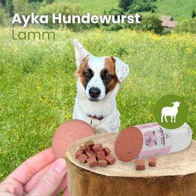 Kauartikel.com Ayka Hundewurst Lamm