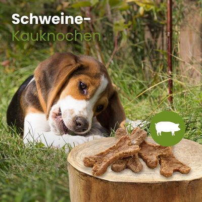 Kauartikel.com Schweine-Kauknochen