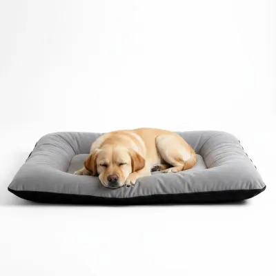 SunnyDogs Hundekissen XXL waschbar
