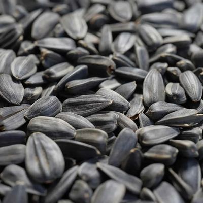 KLASEBO Graines de tournesol noires pour oiseaux sauvages