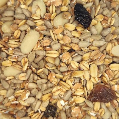 KLASEBO Mélange Premium sans coque pour oiseaux sauvages