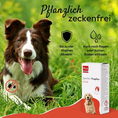 Kauartikel.com PHA Spot-onTropfen für Hunde 2 x 2 ml