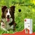 Kauartikel.com PHA Spot-onTropfen für Hunde 2 x 2 ml Kauartikel.com PHA Spot-onTropfen für Hunde 2 x 2 ml