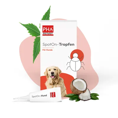 Kauartikel.com PHA Spot-onTropfen für Hunde 2 x 2 ml