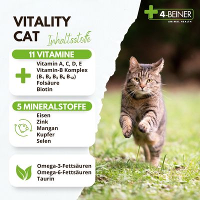 Kauartikel.com 4-BEINER VITALITY-CAT