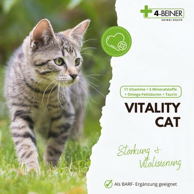 Kauartikel.com 4-BEINER VITALITY-CAT