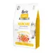 Brit Care Croquettes Grain-Free Haircare Shiny Coat pour chat adulte