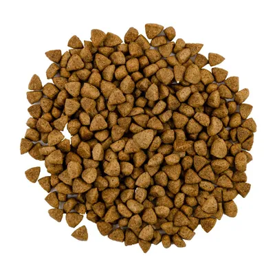 Savory Trockenfutter für sterilisierte Katzen mit Lamm & Huhn