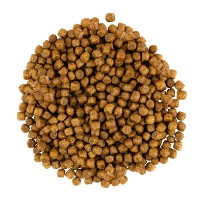 Savory Trockenfutter für Kitten mit Pute & Huhn