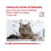 ROYAL CANIN - chat VET CAT RENAL SPECIAL