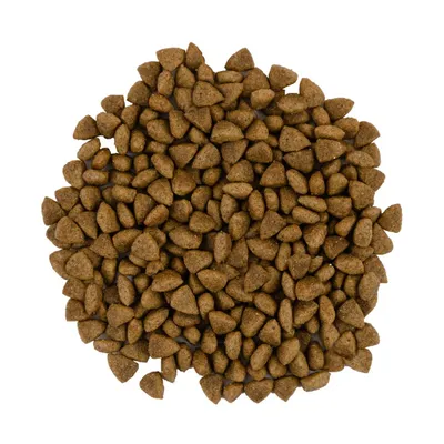 Savory Trockenfutter für sensible Katzen mit Lamm & Pute