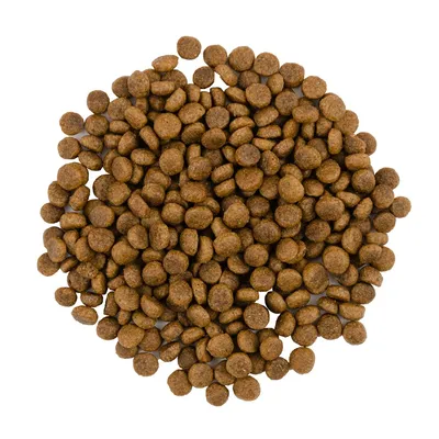 Savory Trockenfutter für Katzen mit Pute & Ente