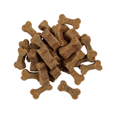 Savory Hundeleckerlis mit Lamm für die Verdauung