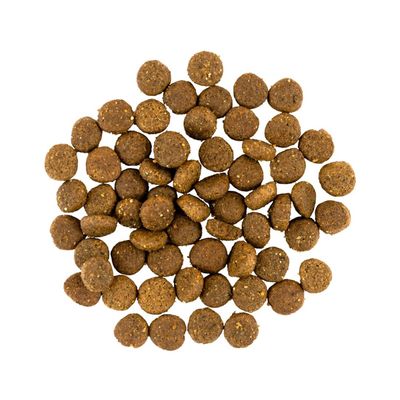 Savory Trockenfutter für Welpen mit Pute & Huhn