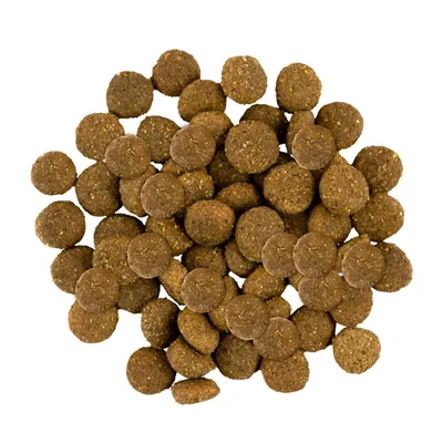 Savory Trockenfutter für Welpen großer Rassen mit Pute & Huhn Savory Trockenfutter für Welpen großer Rassen mit Pute & Huhn