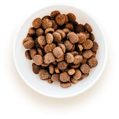 Savory Trockenfutter für kleine Hunde mit Lamm Savory Trockenfutter für kleine Hunde mit Lamm