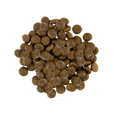 Savory Trockenfutter für kleine Hunde mit Pute & Lamm Savory Trockenfutter für kleine Hunde mit Pute & Lamm