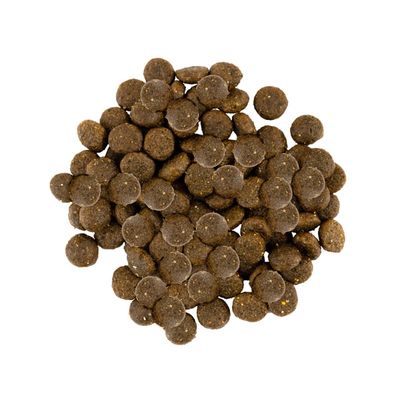 Savory Trockenfutter für kleine Hunde mit Pute & Lamm