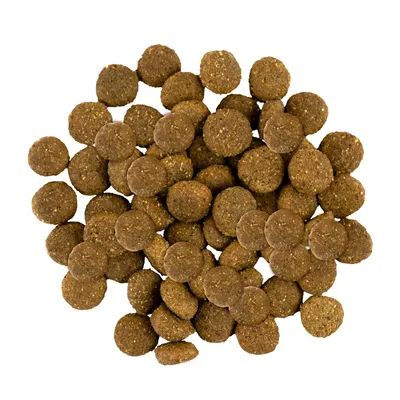 Savory Trockenfutter für Welpen großer Rassen mit Pute & Huhn Savory Trockenfutter für Welpen großer Rassen mit Pute & Huhn