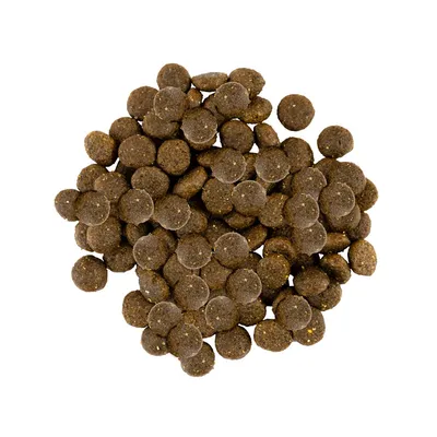 Savory Trockenfutter für kleine Hunde mit Pute & Lamm