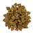 Savory Trockenfutter für kleine Hunde mit Lamm Savory Trockenfutter für kleine Hunde mit Lamm