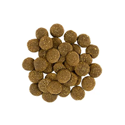Savory Trockenfutter für große Hunde mit Pute & Lamm