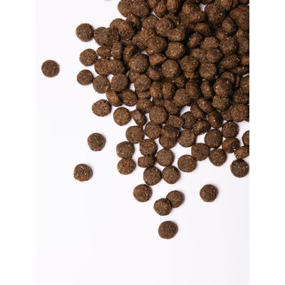 Savory Trockenfutter für mittelgroße Hunde mit Pute & Lamm