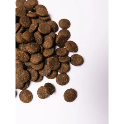 Savory Trockenfutter für große Hunde mit Pute & Lamm