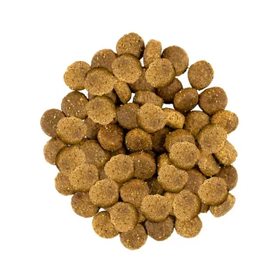 Savory Trockenfutter für mittelgroße Hunde mit Pute & Lamm Savory Trockenfutter für mittelgroße Hunde mit Pute & Lamm