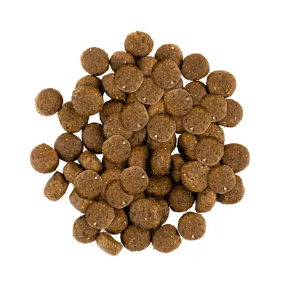 Savory Trockenfutter für Hunde mit Ente & Kaninchen Savory Trockenfutter für Hunde mit Ente & Kaninchen